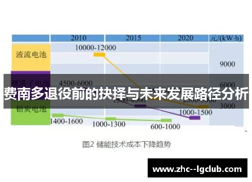 费南多退役前的抉择与未来发展路径分析 费南多退役前的抉择与未来发展路径分析