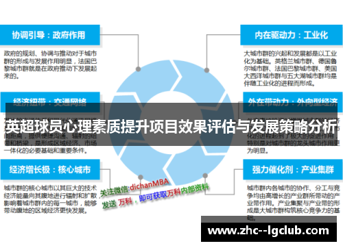 英超球员心理素质提升项目效果评估与发展策略分析