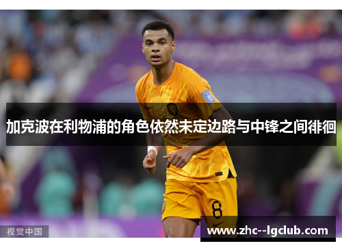 加克波在利物浦的角色依然未定边路与中锋之间徘徊 加克波在利物浦的角色依然未定边路与中锋之间徘徊